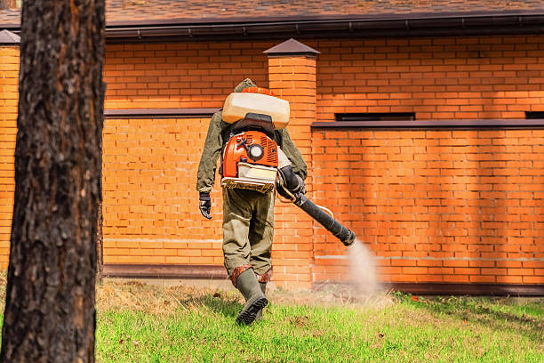 Trusted Rodent Control service in Meadowbrook, AL - Nex Pest Control